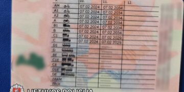 Už suklastotą vairuotojo pažymėjimą – 800 eurų