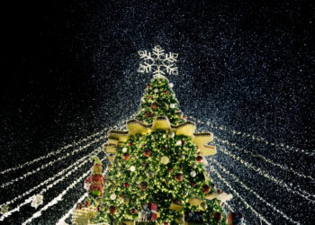 Vilniaus rajone prasideda kalėdinių eglučių įžiebimai