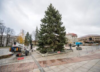 Susipažinkite su Vilniaus Kalėdų programa