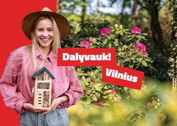 Paskutinę dieną balsuoti suskubę vilniečiai paskirstė milijoną eurų erdvėms šalia savo namų