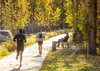 Naujas Vilniaus gatvių želdinimo standartas – pagalba projektuojantiems želdynus