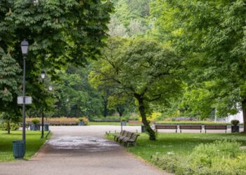 Dalyvaukite apklausoje apie Bernardinų sodą