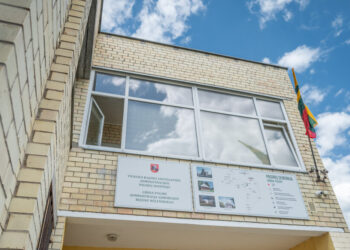 Seniūnaičių rinkimai niekam neįdomūs? Balsus atidavė mažiau nei 5 proc. gyventojų