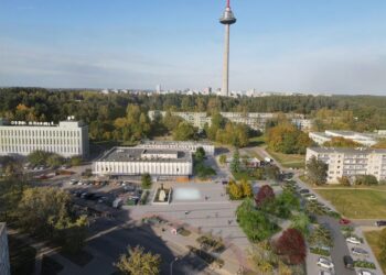 Naujas Vilniaus gatvių želdinimo standartas – pagalba projektuojantiems želdynus