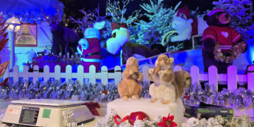 Kalėdinė pirkimo karštinė: kodėl jai pasiduoda net klimato aktyvistai?