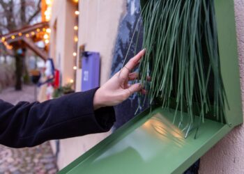 Kalėdos, kurias galima pajausti: Užupio Meno Inkubatoriuje atidarytas liečiamas Advento kalendorius