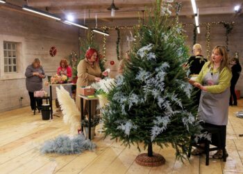 Laida „Žiedų valdovai“