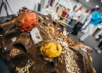 Radiniai nuotekų sistemose stebina net visko mačiusius: nuo kilimų iki mandarinų žievelių