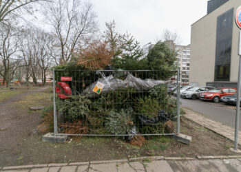 Vilniuje – virš šimto surinkimo taškų žmonių eglutėms