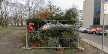 Vilniuje – virš šimto surinkimo taškų žmonių eglutėms