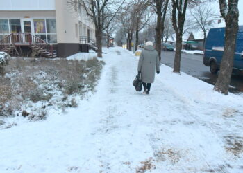 Teismas panaikino Valstybinės kalbos inspekcijos nurodymą, įpareigojantį dvikalbius viešuosius užrašus pateikti tik valstybine kalba