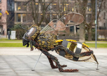 Įspūdinga „žalioji“ instaliacija Lukiškių aikštėje