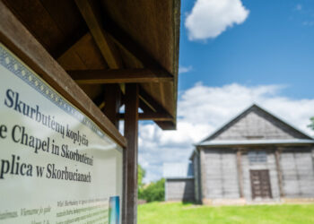 Vilniaus rajonas trūkstamiems transporto vairuotojas skirs kompensacijas