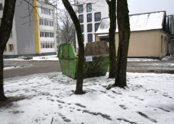 Kur atsisveikinti su eglutėmis Šalčininkų rajone?