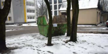 Kur atsisveikinti su eglutėmis Šalčininkų rajone?