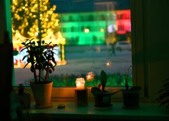 Šalčininkų rajono languose sužibo laisvės žvakės