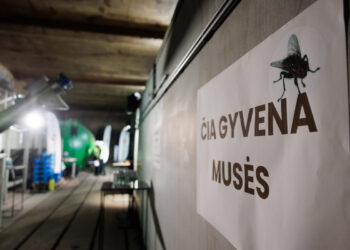 Vilniuje atliekas perdirba musių lervos: investuota daugiau nei 2 mln. eurų