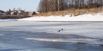 Pirmasis ledas ypač pavojingas, kaip saugiai juo džiaugtis?