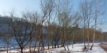 Neries pakrantė Žvėryne: savivaldybė kvies gyventojus kartu kurti žaliąją erdvę