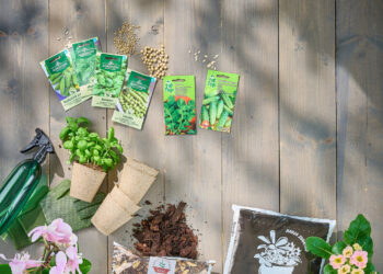 Pavasarinis sėklų pirkimas: pagrindinės sodinimo klaidos, kurias svarbu prisiminti