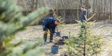Vilnius kviečia įmones prisidėti prie edukacinio miško sodinimo