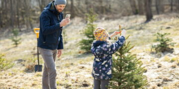 Kalėdinių eglučių sodinimas – kovo 22-ą dieną, kaip dalyvauti?