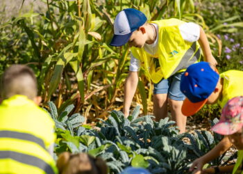 Vilniaus skiria finansavimą aplinkosauginio švietimo projektams