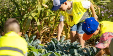 Vilniaus skiria finansavimą aplinkosauginio švietimo projektams