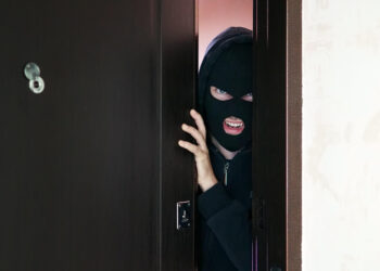 Originalios vagystės Vilniuje: nuo krovimo kabelių iki lauko durų