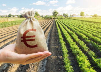 Patvirtintos 2025 m. tiesioginių išmokų taisyklės: ūkininkų laukia naujos galimybės ir svarbūs palengvinimai