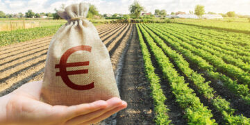 Patvirtintos 2025 m. tiesioginių išmokų taisyklės: ūkininkų laukia naujos galimybės ir svarbūs palengvinimai