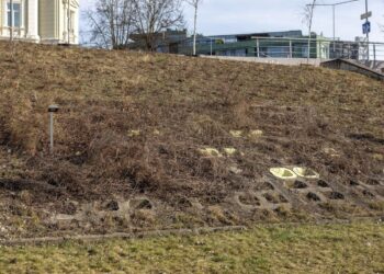 Pradedamas Neries krantinės valymas nuo Žirmūnų link Baltojo tilto