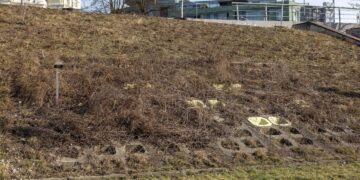 Pradedamas Neries krantinės valymas nuo Žirmūnų link Baltojo tilto