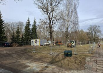 Šalia Vingio parko bus pašalinti 118 medžių ir krūmų