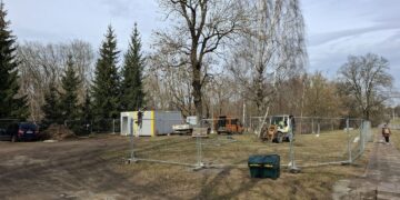 Šalia Vingio parko bus pašalinti 118 medžių ir krūmų