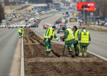 Ukmergės gatvė sužaliuos