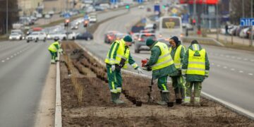 Ukmergės gatvė sužaliuos