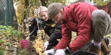 Dovanojama 3000 krūmų sodinukų daugiabučių bendruomenėms