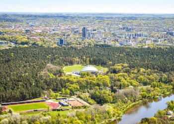 Šalia Vingio parko bus pašalinti 118 medžių ir krūmų