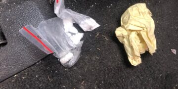 Trakų rajone per savaitę pradėti penki tyrimai dėl narkotinių medžiagų laikymo