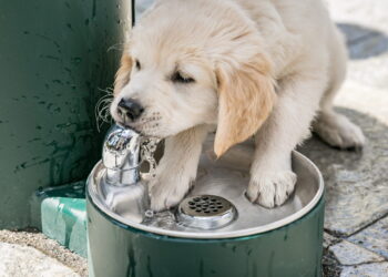 Kovo 22-ąją vilniečiai kviečiami švęsti Pasaulinę vandens dieną