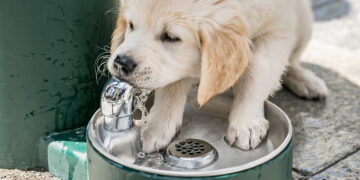 Kovo 22-ąją vilniečiai kviečiami švęsti Pasaulinę vandens dieną