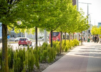 Vilniuje prasideda pavasariniai želdinimo darbai – paruošta tūkstančiai medžių, krūmų ir gėlių