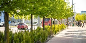 Vilniuje prasideda pavasariniai želdinimo darbai – paruošta tūkstančiai medžių, krūmų ir gėlių