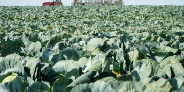 Modernizuok savo ūkį: investicinė parama smulkiems ir stambiems ūkiams