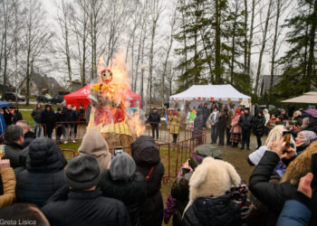 Jau galima teikti prašymus mokslo įstaigoms sekantiems mokslo metams