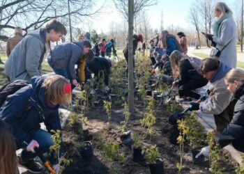Šeškinės talkoje pasodinta 4600 krūmų