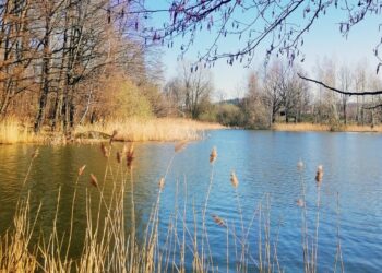 Prie Trakų pilies skęstantį senolį išgelbėjo vyras iš Vievio