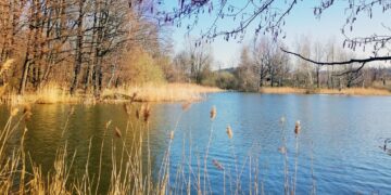 Prie Trakų pilies skęstantį senolį išgelbėjo vyras iš Vievio