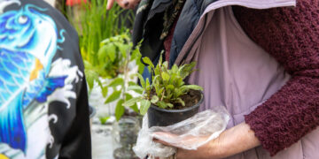 „Mainų sodas“: vilniečiai kviečiami dalintis sodinukais ir tvariomis idėjomis